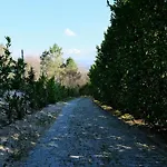 Escusa 别墅 拜昂